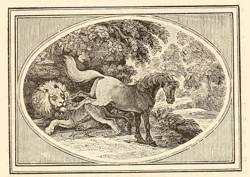 Equus et Leo Medicus