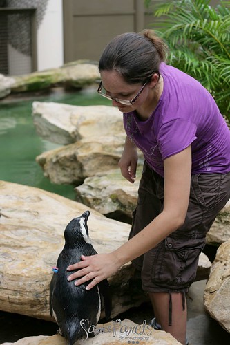 Libby & penguins