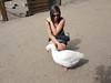 This Duck Loved Me