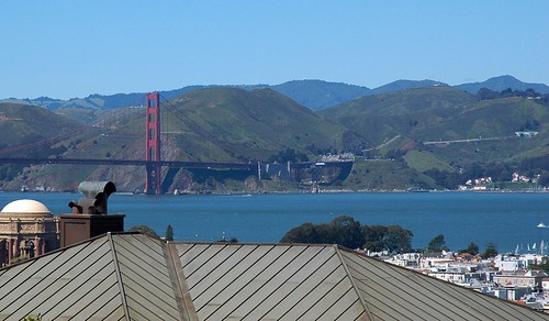 Filmore, Ft Mason, Golden Gate Park, North Beach  2
