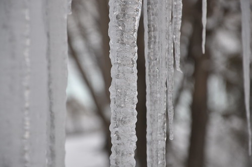 2011-01-28 - Ice 021