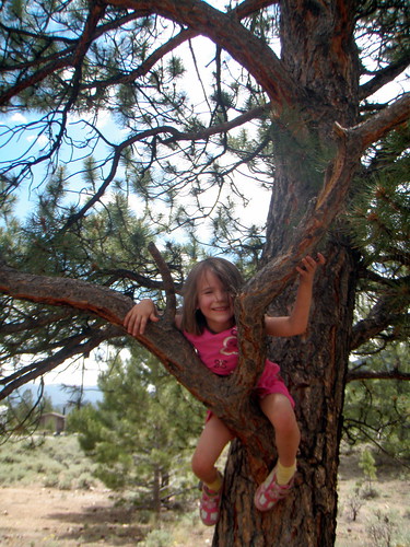 Ayla tree climbing