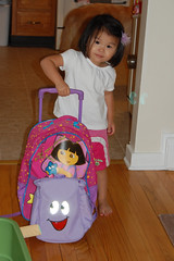 Dora Suitcase and Backpack