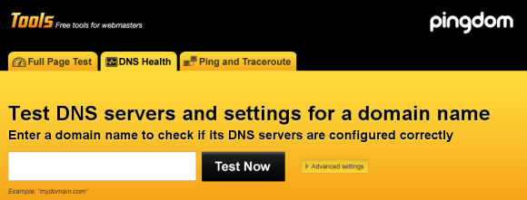 DNS test in Pingdom Tools