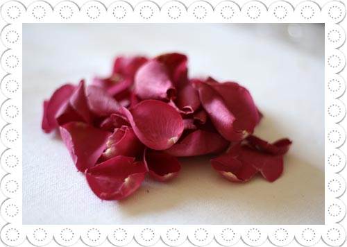 hot pink rose petals. Rose Petals | Hot Pink Real