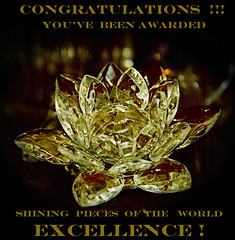 Shining Excellence Award