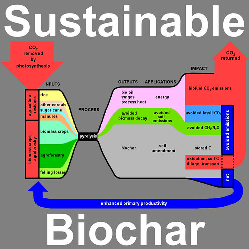 Biochar Graphic