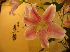 九徳のお店の前に飾られたユリの花