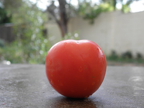 Our tomato Marinara