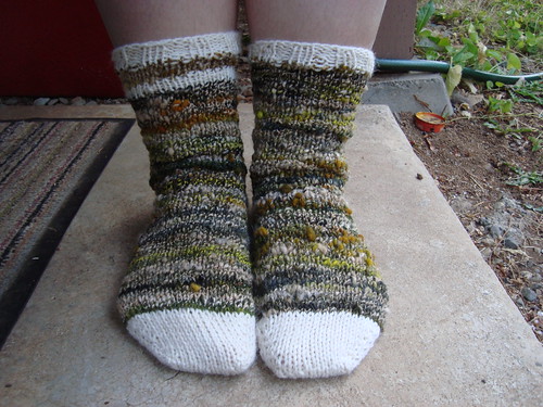 enchanted forest socks