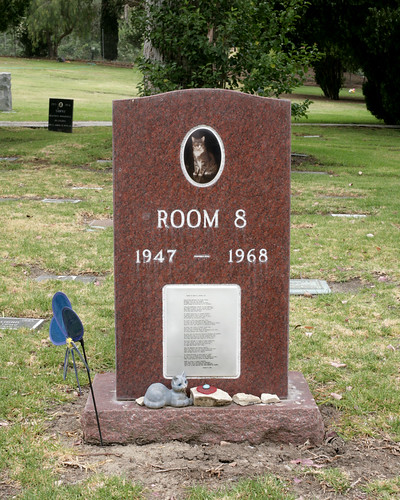 Room 8's Grave Stone