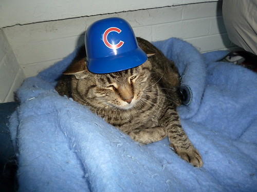 Parker loooves the Cubs