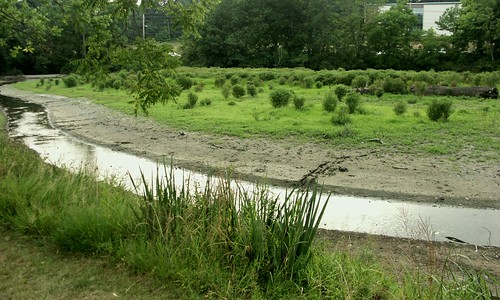 Rochambeau Pond in July 2010