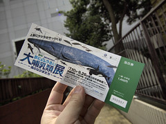 Tokyo 2010 - 國立科學博物館 (2)