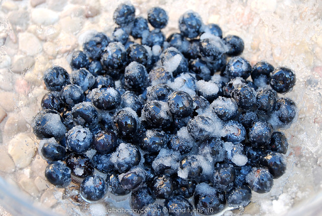 Blueberries with sugar and Kirsch