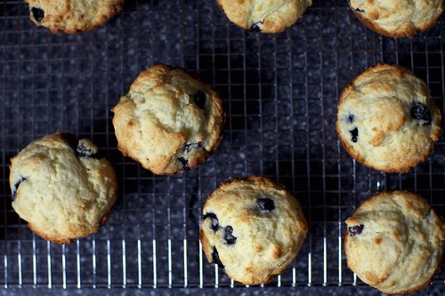blueberry muffins, craggy tops