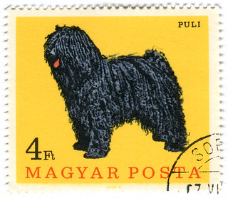 Hungary postage stamp: Puli dog