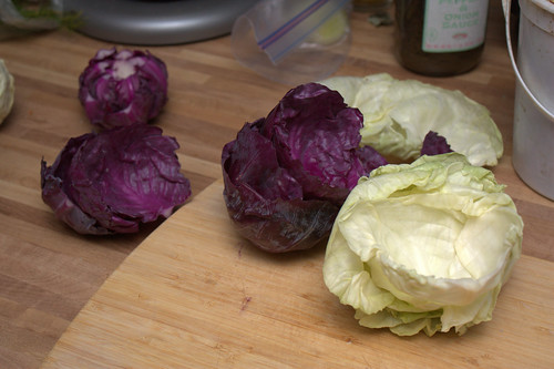 cabbage, prepare to be steamed