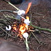 marshmallows on fire