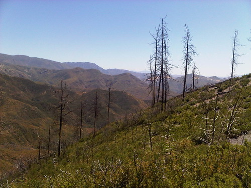 Upper Oso Trail (Los Padres National Forrest) in CA