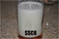 SSC8-Badam-Saunf-Shahad-Milkshake