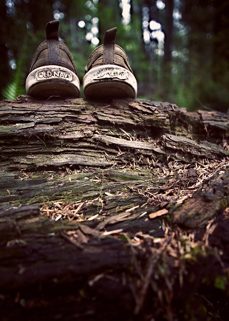 shoes. on a log. in a forest.