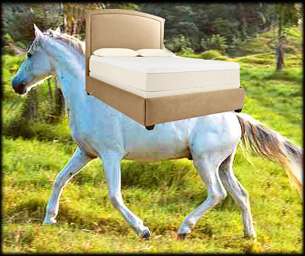 white-horse-prince-bed