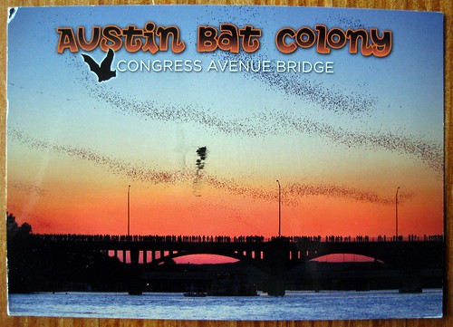 Austin's Congress Ave Bridge Bats
