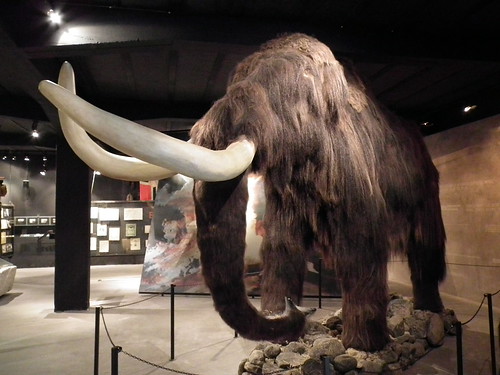 whooly mammoth