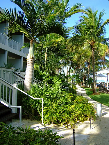 Hawk's Cay Resort and Marina