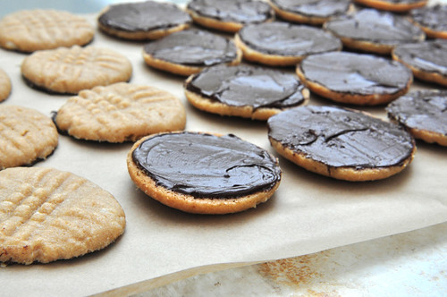 Peanut Butter Cookies - Chocolate Coating