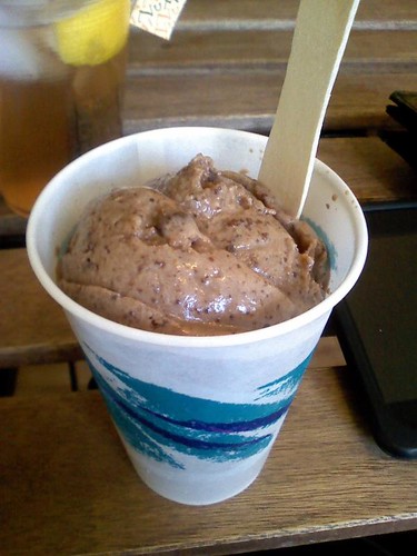 Soy Brownie nondairy ice cream