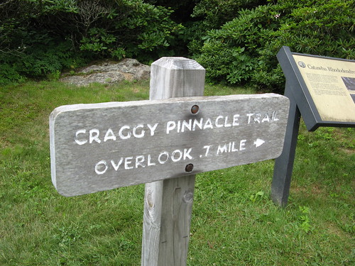 Craggy Pinnacle