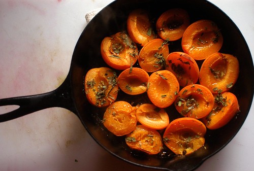 roasted apricots