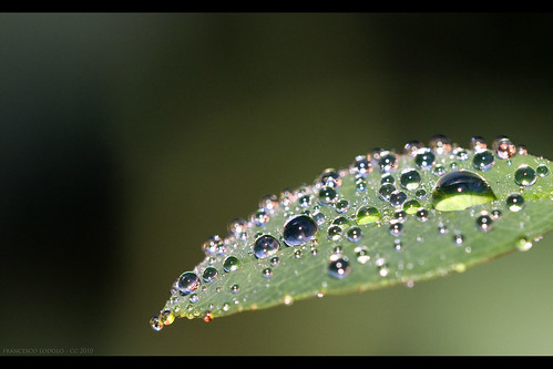Water Drops Experiments
