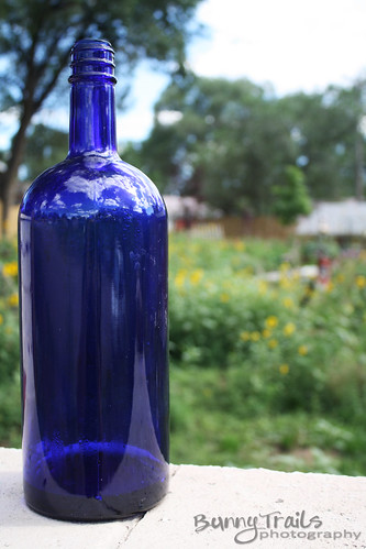222-blue bottle2