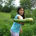 Sophia Harvesting a Cucumber