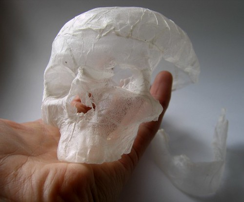 tissue paper sculpture - shrunken skull