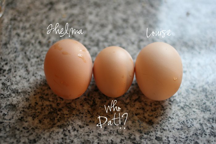 08-18-eggs