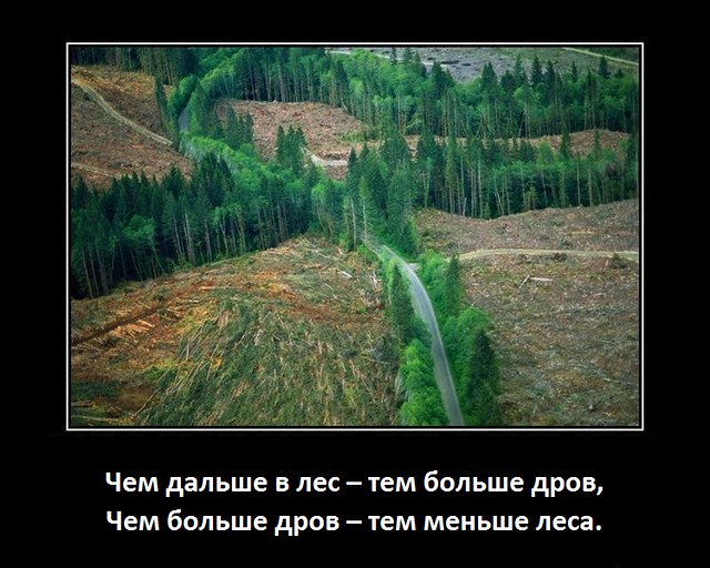 Химкинский лес