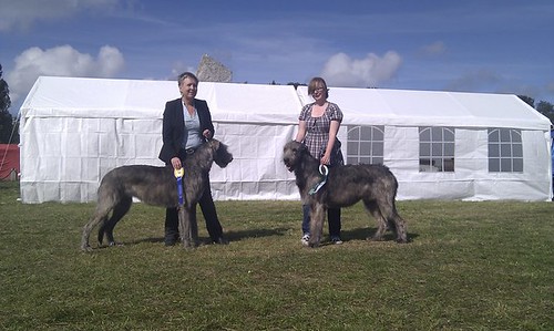 Wicca & Aiax at Gotland Dog Show