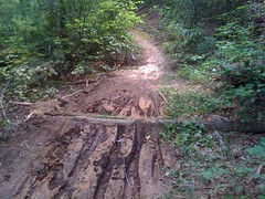  Turner Creek Trail - trail crosses drainage 