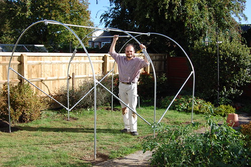 Wulf standing in the completed polytunnel frame