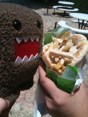 Domo-kun and a pita full of falafel