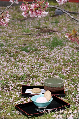 京都 醍醐寺茶會
