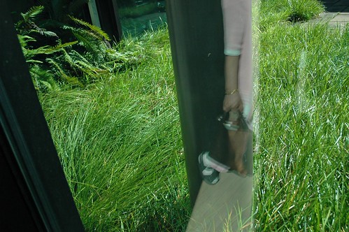 Grasses and Reiko's reflection, Frye Art Museum, Seattle, Washington, USA by Wonderlane