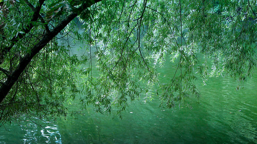 フリー写真素材|自然・風景|樹木|川・河川|グリーン|ドイツ|