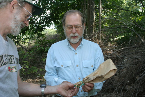 Brian Clark, left, a local representative of the American Chestnut Foundation, shows Jack Lochhead the special bag used to pollinate American chestnut trees. 