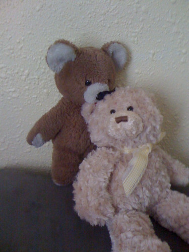 My Old Teddy Bear & Michael's New Teddy Bear