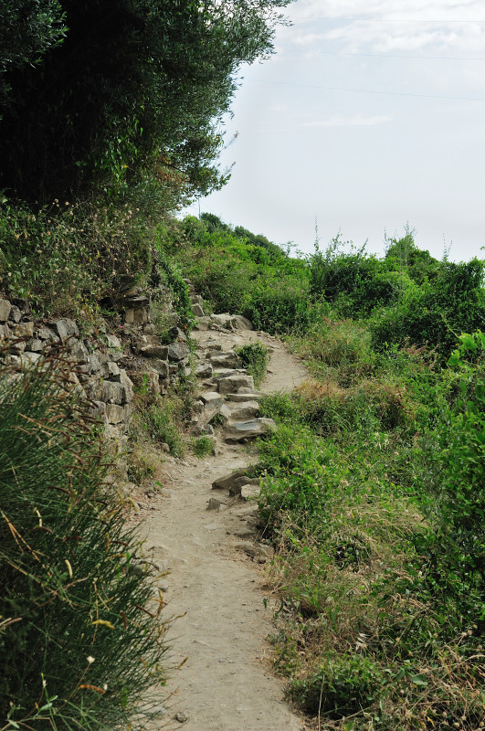 The Rocky Path